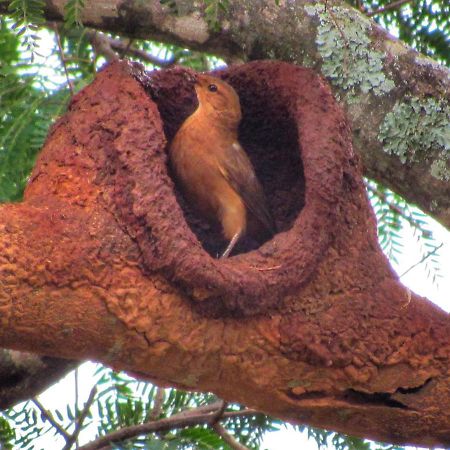 Serra do Cipo National Park Pousada Mandalla المظهر الخارجي الصورة