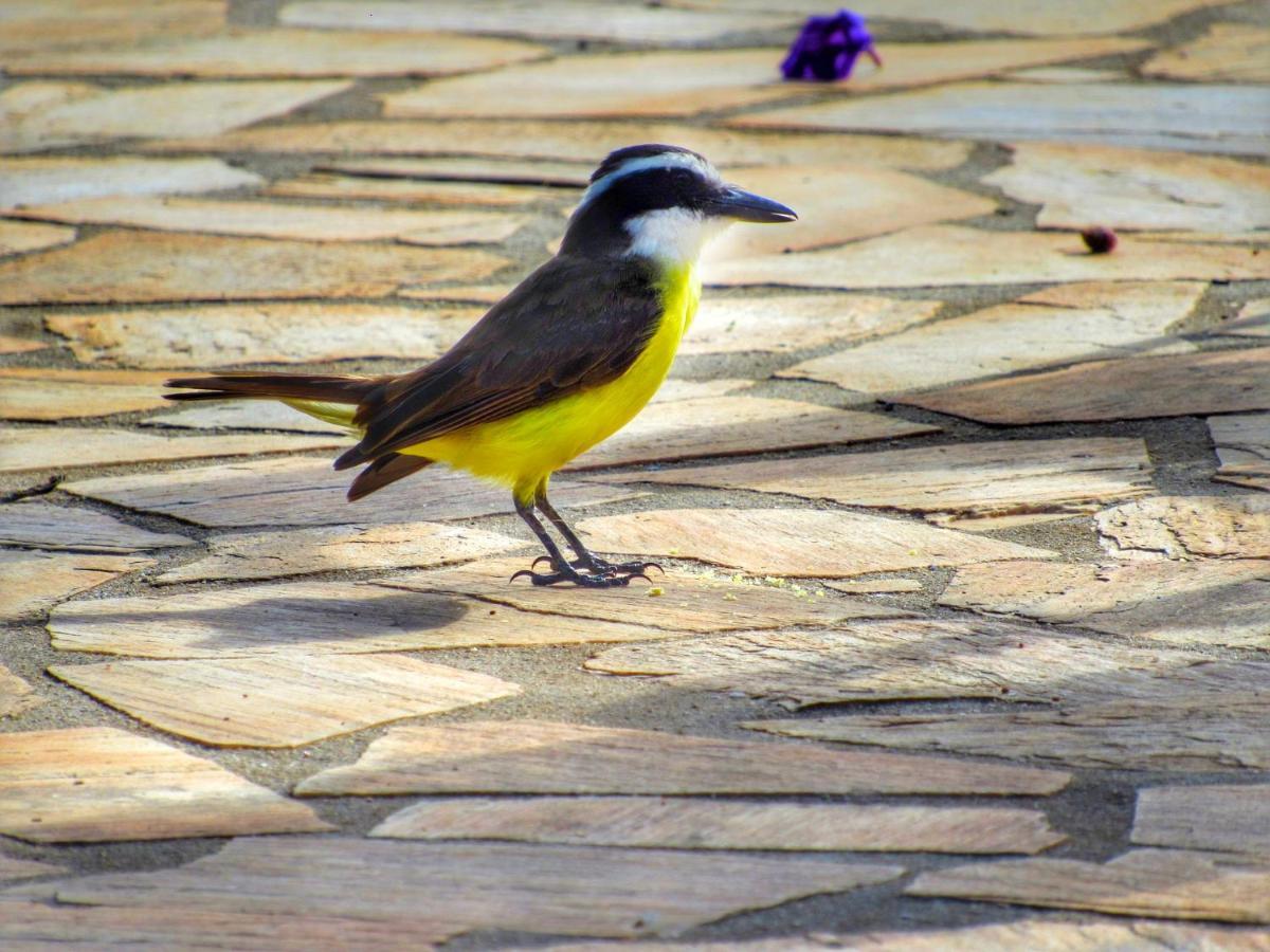 Serra do Cipo National Park Pousada Mandalla المظهر الخارجي الصورة